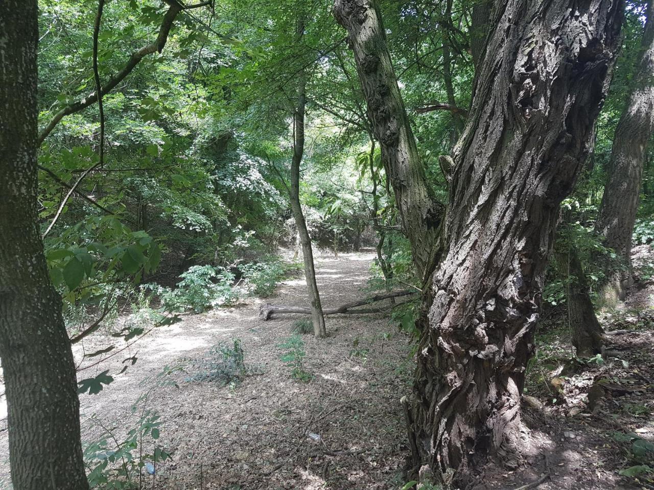 Old Stone Villa Obarok Εξωτερικό φωτογραφία